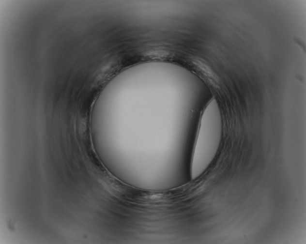 X0000091880365200709051019