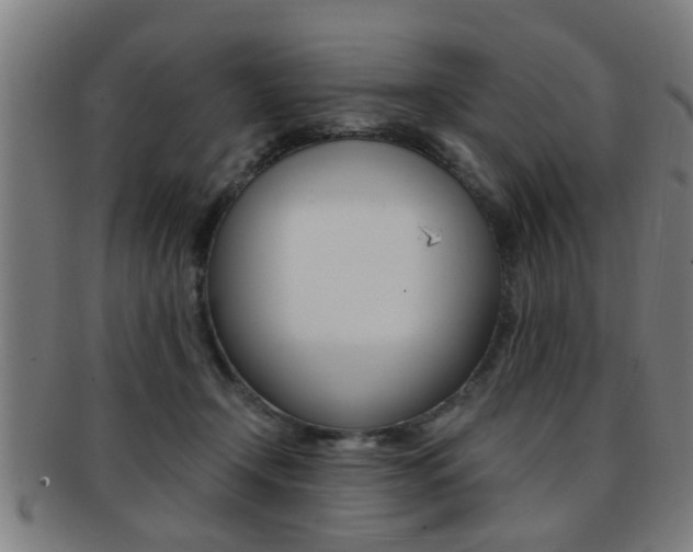 X0000091880366200709051019