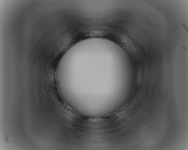 X0000091880367200709051019