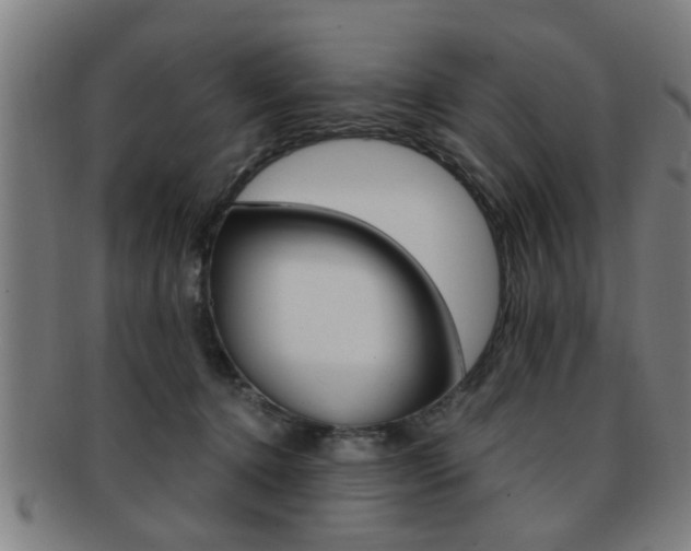 X0000091880368200709051019