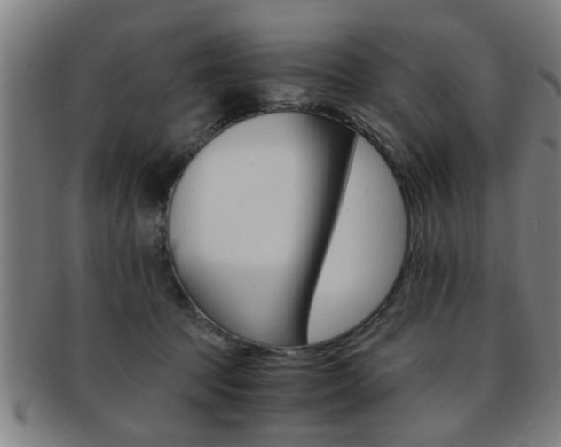 X0000091880369200709051019