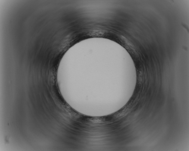 X0000091880370200709051019