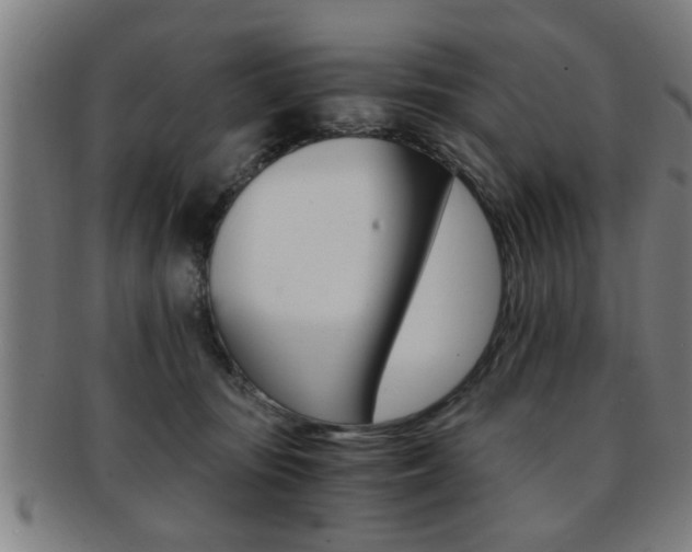 X0000091880371200709051019