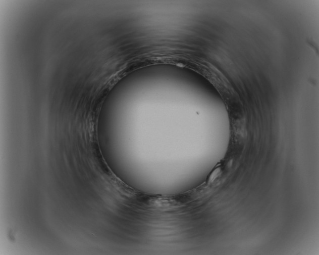 X0000091880372200709051019