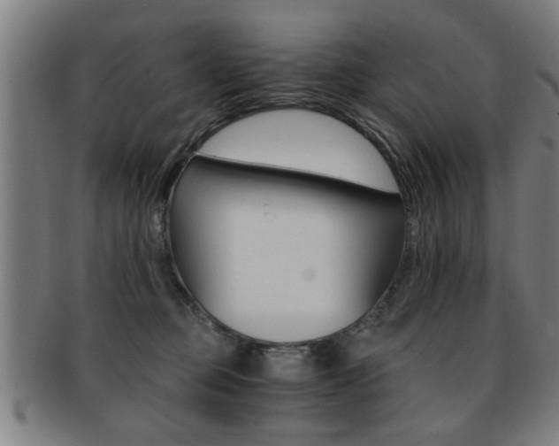 X0000091880373200709051019