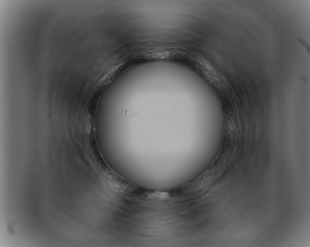 X0000091880374200709051019