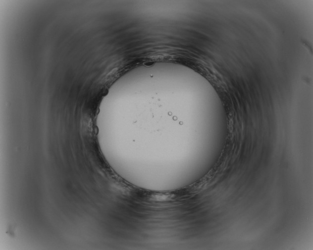X0000091880375200709051019