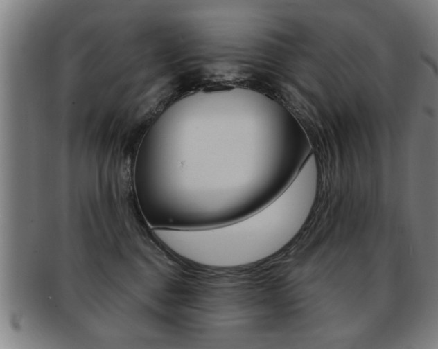 X0000091880376200709051019