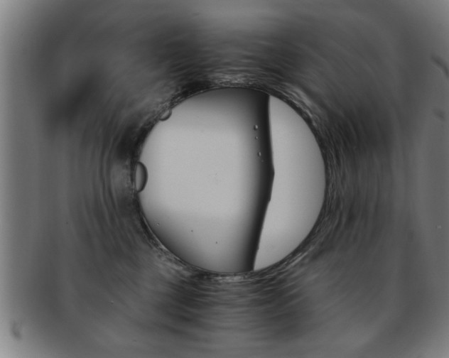 X0000091880377200709051019
