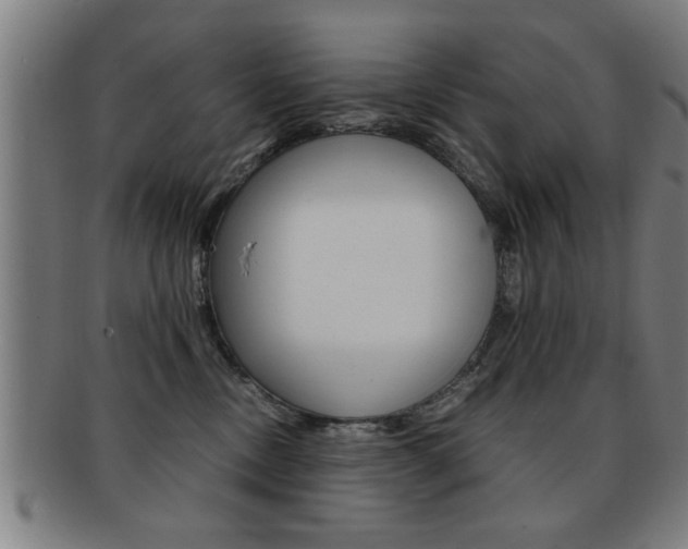 X0000091880378200709051019