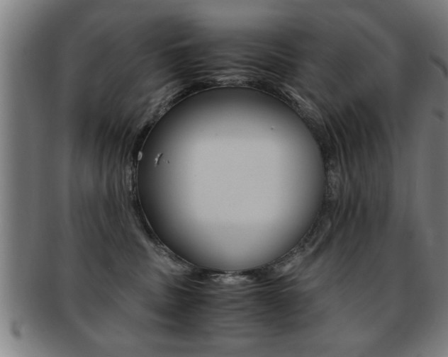 X0000091880379200709051019