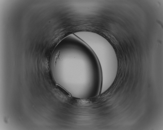 X0000091880380200709051019