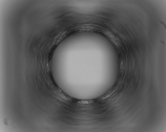 X0000091880381200709051019