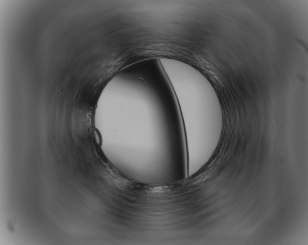 X0000091880382200709051019