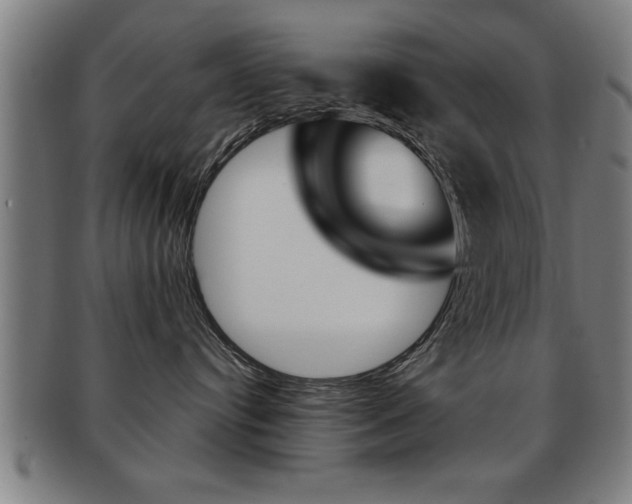 X0000091880384200709051019