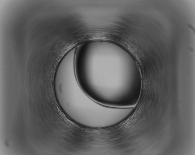 X0000091880385200709051019