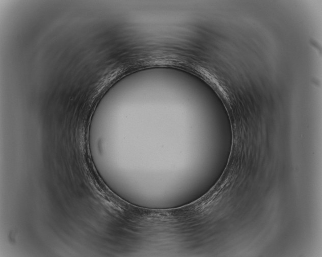 X0000091880386200709051019