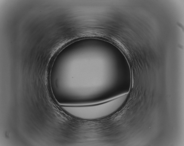 X0000091880387200709051019