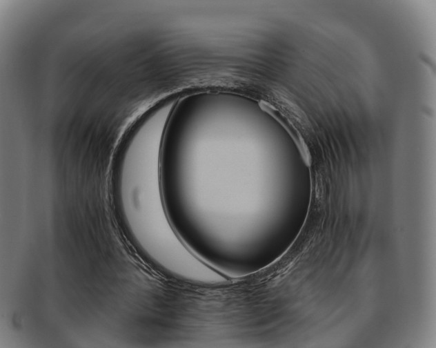 X0000091880388200709051019