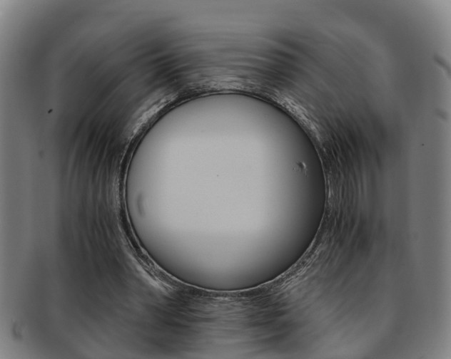 X0000091880390200709051019