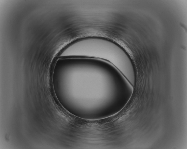 X0000091880391200709051019