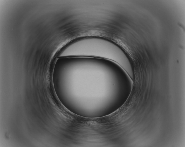 X0000091880392200709051019