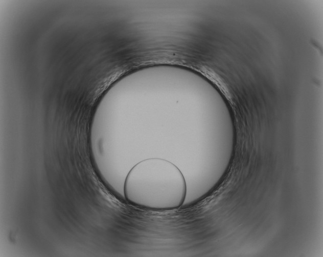 X0000091880393200709051019