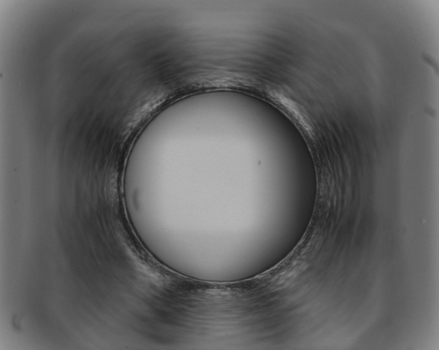 X0000091880394200709051019