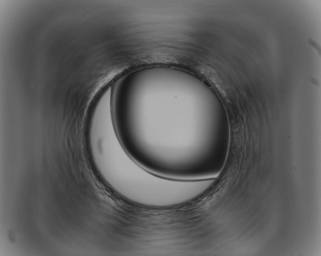 X0000091880395200709051019