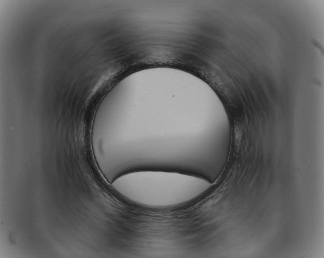 X0000091880396200709051019