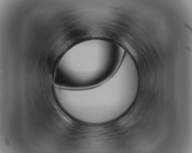X0000091880397200709051019