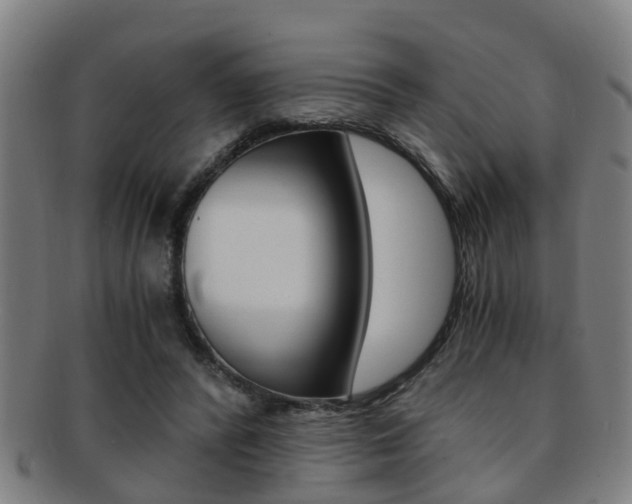 X0000091880400200709051019