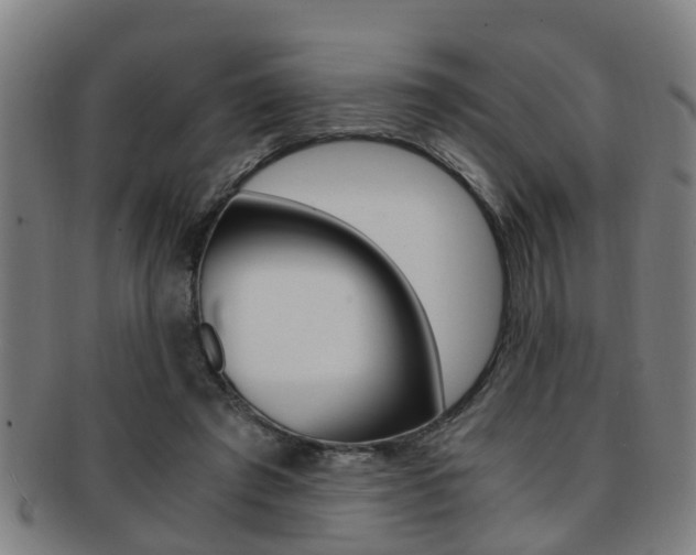 X0000091880401200709051019