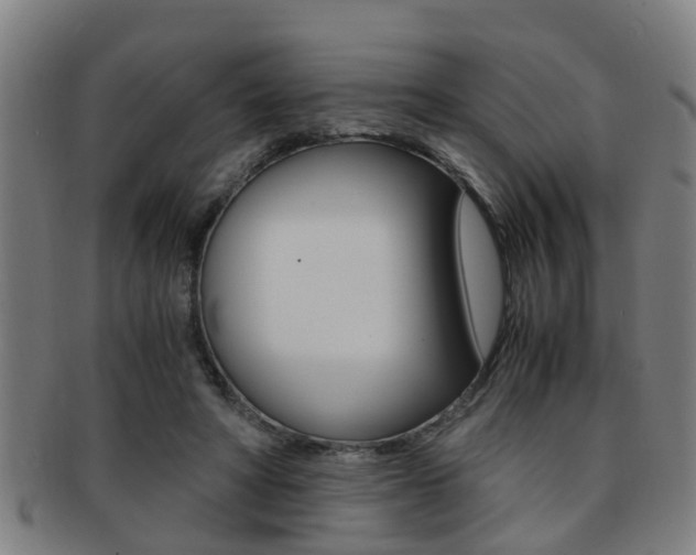 X0000091880402200709051019