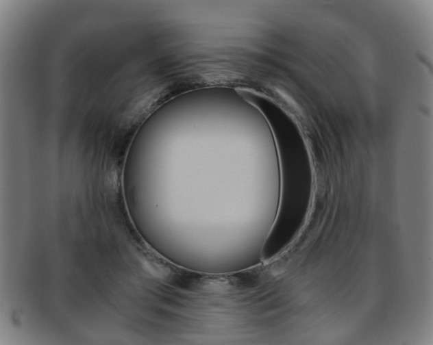 X0000091880405200709051019
