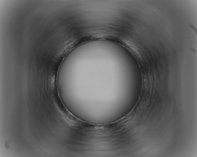 X0000091880406200709051019