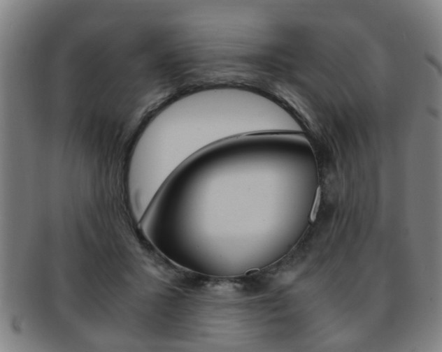 X0000091880407200709051019