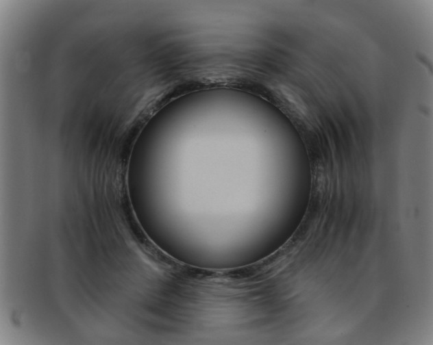 X0000091880408200709051018