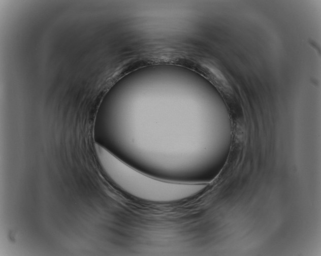 X0000091880409200709051018