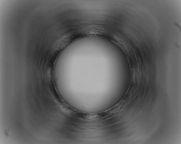 X0000091880410200709051018
