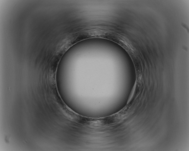 X0000091880411200709051018