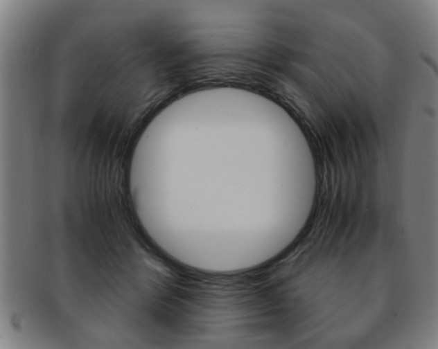 X0000091880412200709051018