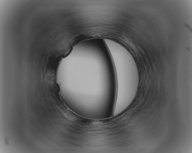 X0000091880413200709051018