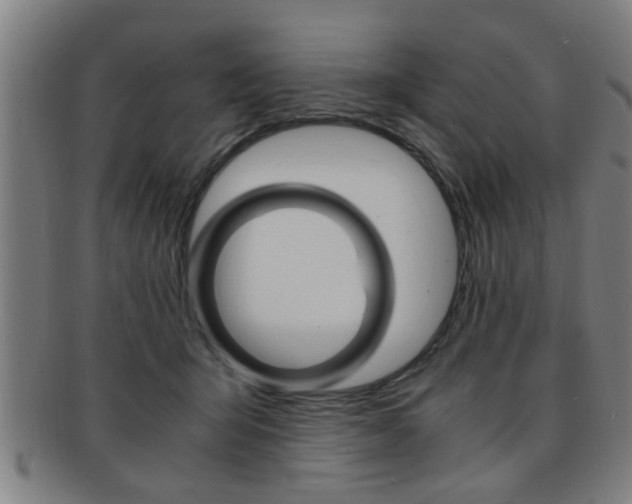 X0000091880415200709051018