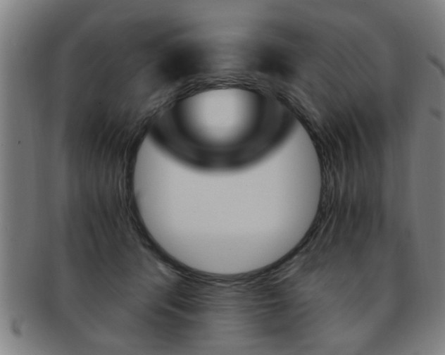 X0000091880416200709051018