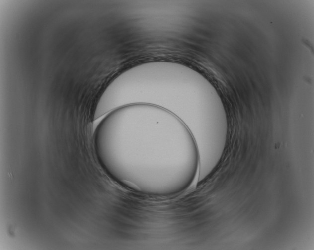 X0000091880417200709051018
