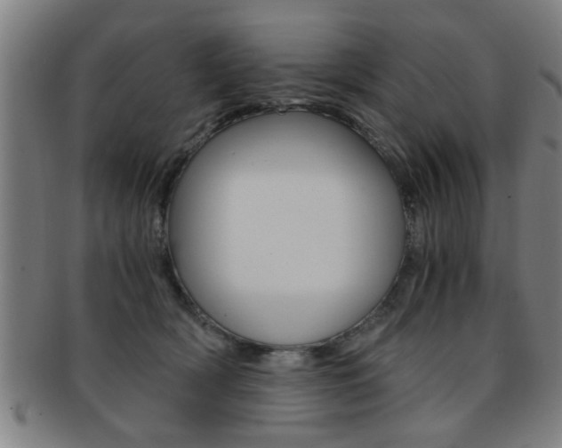 X0000091880418200709051018