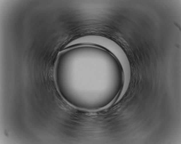 X0000091880419200709051018