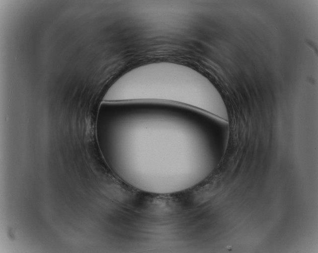 X0000091880420200709051018
