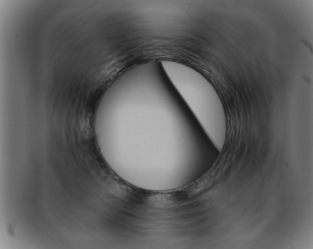 X0000091880422200709051018